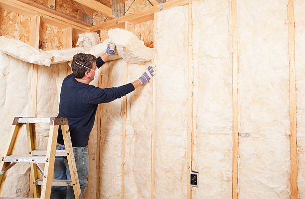 Best Batt and Roll Insulation in USA